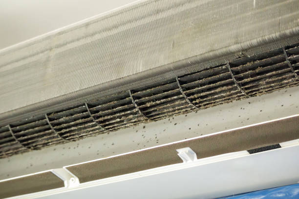 Best Ductwork Cleaning Services  in Cartersville, GA